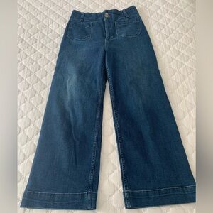 PILCRO Anthropolgie Denim/ The Skipper. Size 28